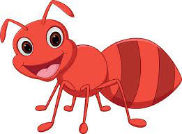 мрави имају највећи мозак од свих инсеката