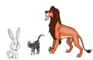 мече се пореди са зецом, мачком и лавом