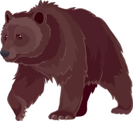 медвед
