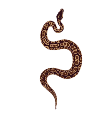 змија