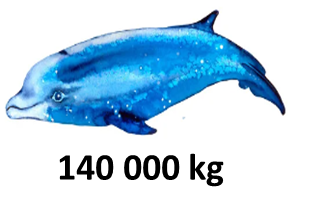плави кит