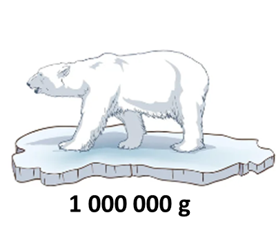поларни медвед