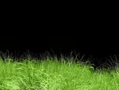 трава