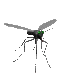 комарац