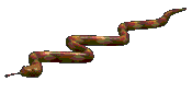 барска змија